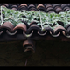 India-Odisha-food-tribals